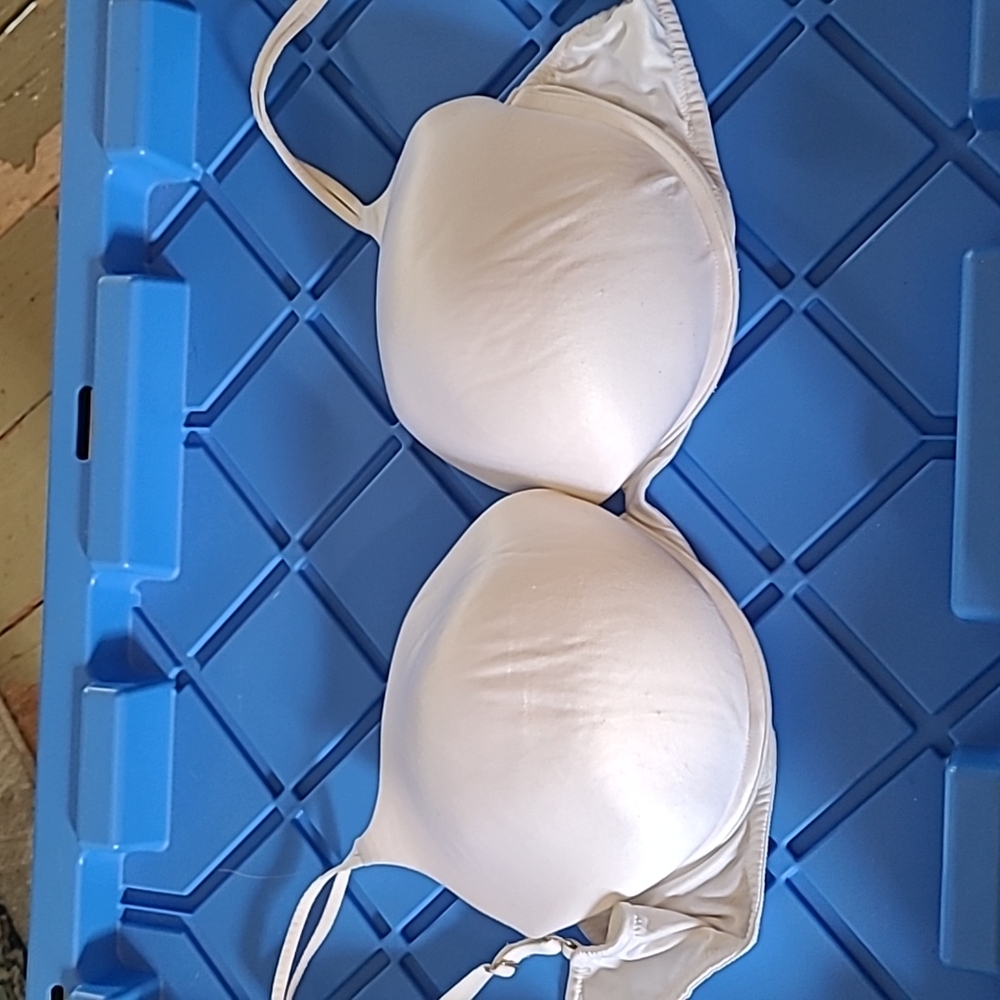 Victoria's Secret Vintage bra